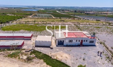 Перепродажа - Villa - Montesinos - Los Montesinos