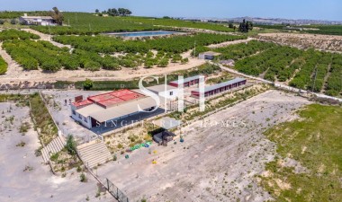 Перепродажа - Villa - Montesinos - Los Montesinos