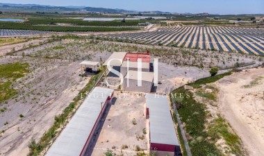 Перепродажа - Villa - Montesinos - Los Montesinos