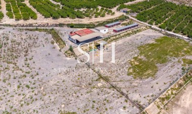 Перепродажа - Villa - Montesinos - Los Montesinos