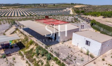 Перепродажа - Villa - Montesinos - Los Montesinos