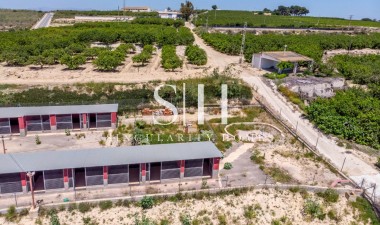 Перепродажа - Villa - Montesinos - Los Montesinos