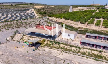 Перепродажа - Villa - Montesinos - Los Montesinos