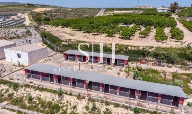 Перепродажа - Villa - Montesinos - Los Montesinos