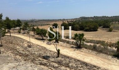 Återförsäljning - Villa - San Miguel de Salinas - Inland