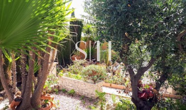 Herverkoop - Villa - Ciudad Quesada - Costa Blanca