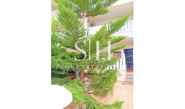 Resale - Bungalow - Orihuela Costa - Lomas De Cabo Roig-los Dolses