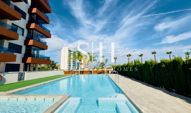 Wiederverkauf - Wohnung - Guardamar del Segura - Puerto Deportivo