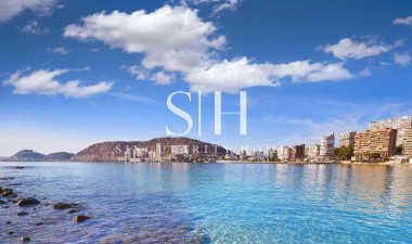 Nieuwbouw Woningen - Villa - Els Poblets - Partida Barranquets