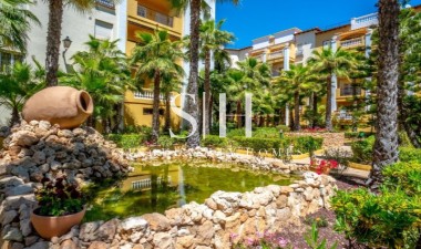 Herverkoop - Appartement / flat - Torrevieja - Costa Blanca