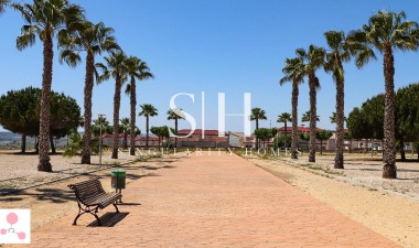 Новое здание - Villa - San Fulgencio - La Escuera