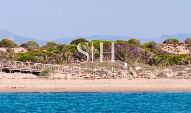 Новое здание - Квартира / квартира - Guardamar del Segura - Pueblo