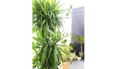 Herverkoop - Villa - Orihuela Costa - Villamartin