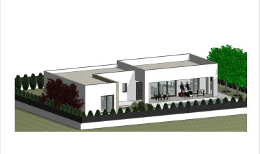 Obra nueva - Villa - Pinoso - Lel