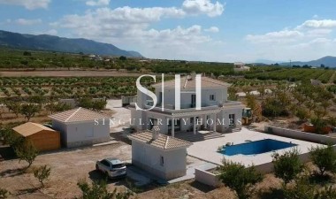 Nybyggnation - Villa - Pinoso - Camino Del Prado