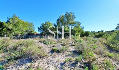 Återförsäljning - Plot - San Miguel de Salinas