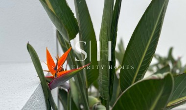 Wiederverkauf - Detached Villa - Torrevieja - Los Balcones - Los Altos del Edén