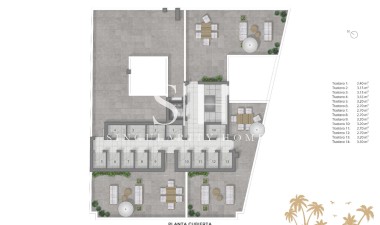 New Build - Apartment / flat - Guardamar del Segura - Pueblo