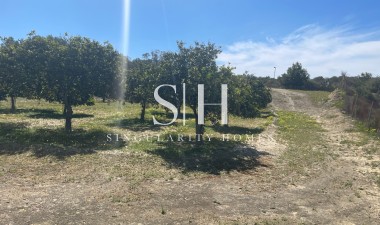 Resale - Villa - Guardamar del Segura - Costa Blanca