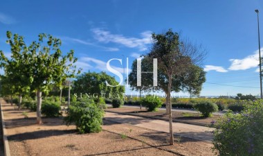 Resale - House - Los Montesinos - Los Montesinos - Urb. La Herrada