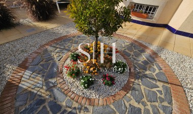 Resale - Villa - Benijofar - Benimar 3