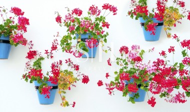 New Build - Apartment / flat - Mijas - La Noria Golf