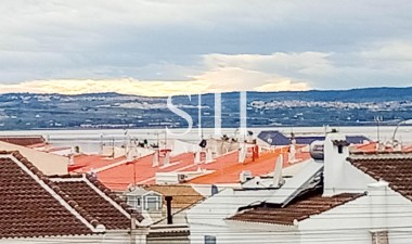 Перепродажа - Villa - Torrevieja - La Siesta - El Salado - Torreta