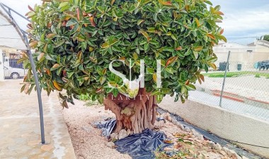 Перепродажа - Villa - Torrevieja - La Siesta - El Salado - Torreta