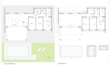 Obra nueva - Villa - Pinoso - Campo