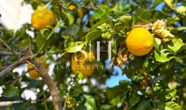 Reventa - Villa - Orihuela Costa - Costa Blanca