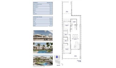 New Build - Apartment / flat - Pilar de la Horadada - pueblo