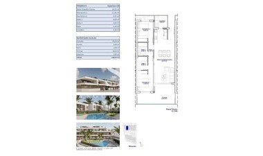 New Build - Apartment / flat - Pilar de la Horadada - pueblo