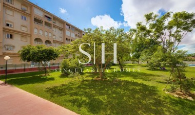 Resale - Apartment / flat - Torrevieja - Centro