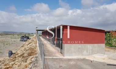 Wiederverkauf - Villa - Los Montesinos