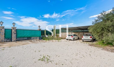 Herverkoop - Villa - Elche