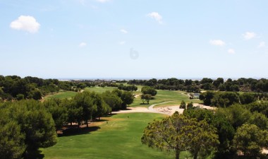 Nowy budynek - Mieszkanie w bloku - Pilar de la Horadada - Lo Romero Golf