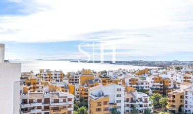 Återförsäljning - Lägenhet / lägenhet - Torrevieja - Punta prima
