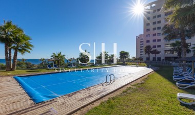 Herverkoop - Appartement / flat - Torrevieja - Punta prima