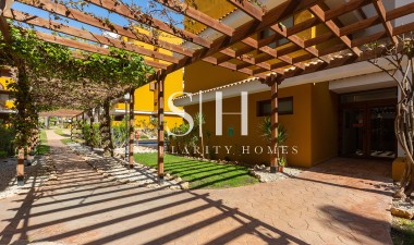 Återförsäljning - Lägenhet / lägenhet - Torrevieja - Punta prima