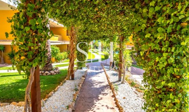 Återförsäljning - Lägenhet / lägenhet - Torrevieja - Punta prima