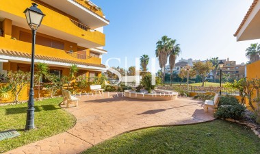 Återförsäljning - Lägenhet / lägenhet - Torrevieja - Punta prima