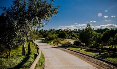 New Build - Villa - Rojales - Doña Pena