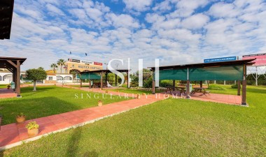 Resale - Bungalow - Torrevieja - PARQUE DE LAS NACIONES