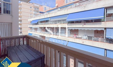 Resale - Apartment / flat - Torrevieja - Playa de los locos