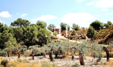 Перепродажа - Villa - Murcia - Cañadas de San Pedro