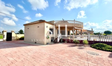 Återförsäljning - Villa - Catral - Costa Blanca