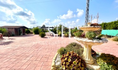 Återförsäljning - Villa - Catral - Costa Blanca