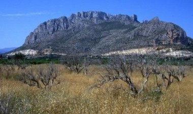 Nowy budynek - Mieszkanie w bloku - El Verger - Playa de La Almadraba