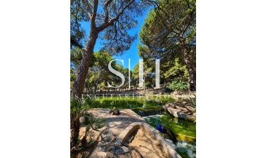 Перепродажа - Квартира / квартира - Guardamar del Segura - Guardamar Playa