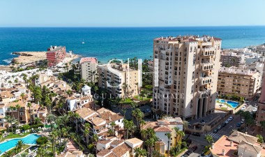 Resale - Apartment / flat - Torrevieja - Playa de los Locos